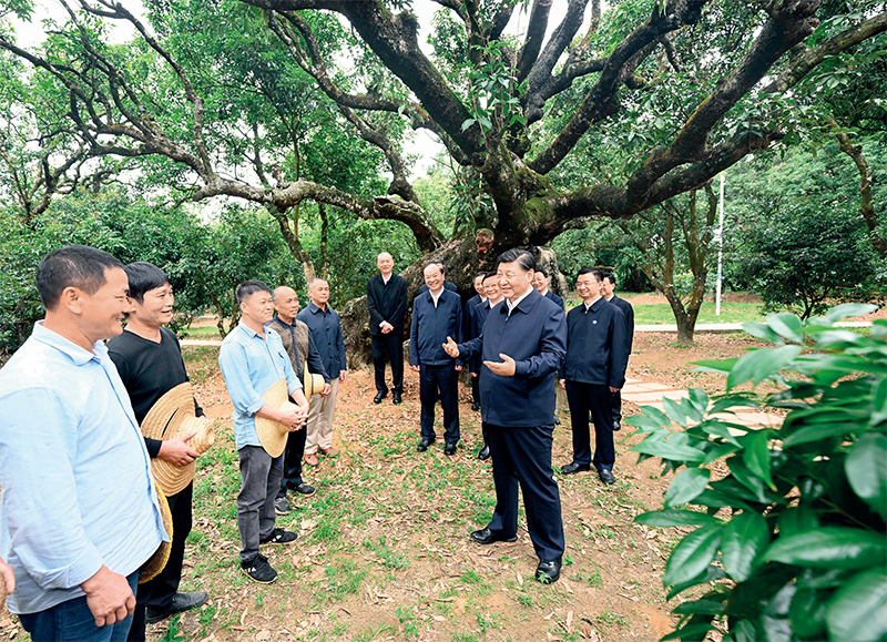 2023年4月10日至13日，中共中央總書記、國家主席、中央軍委主席習(xí)近平在廣東考察。這是11日下午，習(xí)近平在茂名高州市根子鎮(zhèn)柏橋村荔枝種植園，同現(xiàn)場技術(shù)人員親切交流。