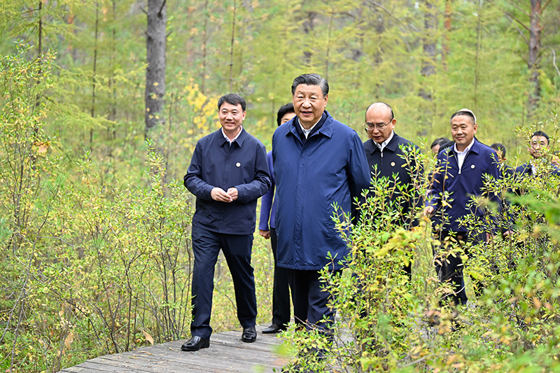 9月6日至8日，中共中央總書(shū)記、國(guó)家主席、中央軍委主席習(xí)近平在黑龍江考察。這是6日下午，習(xí)近平在大興安嶺地區(qū)漠河市漠河林場(chǎng)自然林區(qū)考察